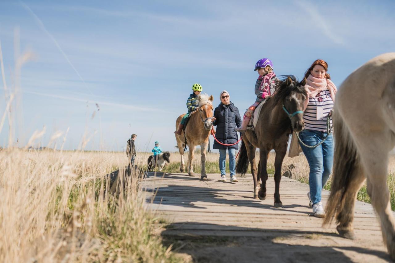 Buedlfarm - Der Familien-Erlebnishof In Strandnaehe Fehmarn Exterior foto