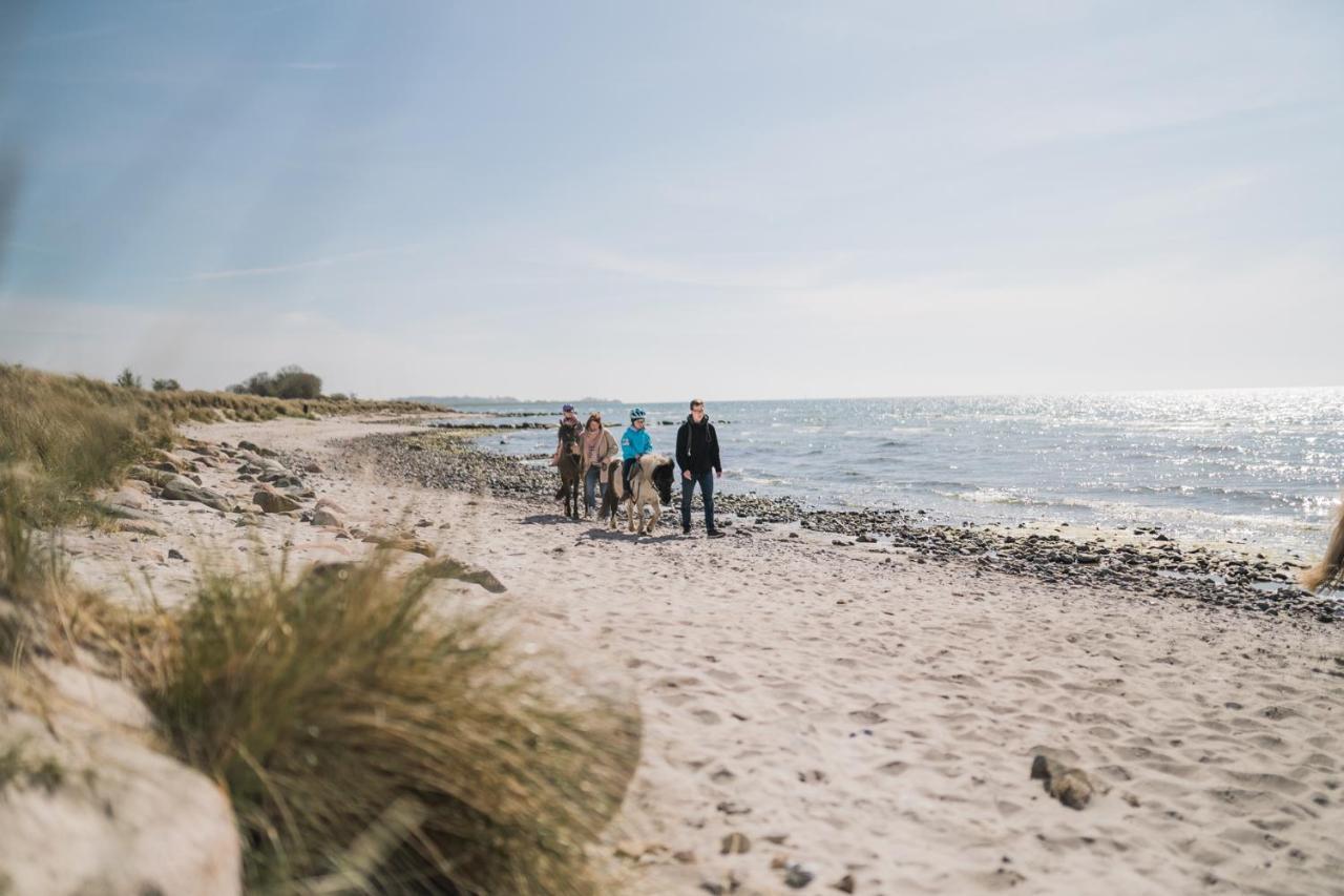 Buedlfarm - Der Familien-Erlebnishof In Strandnaehe Fehmarn Exterior foto